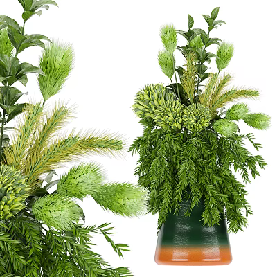 Bonsai Potted Plant With Lush Green Foliage And Various Leaf Shapes 3d model