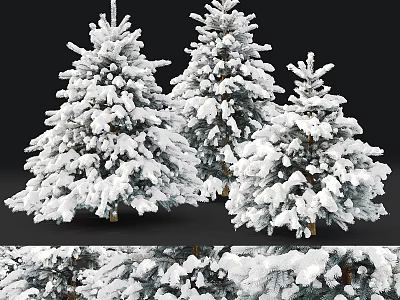 Three Snow Covered Evergreen Trees With Fluffy White Canopies And Pine Needles 3d model