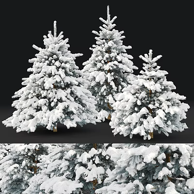 Three Snow Covered Evergreen Trees With Fluffy White Canopies And Pine Needles 3d model