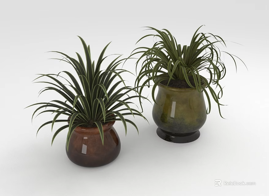 Indoor Houseplants in Green and Brown Ceramic Pots with Long Leaves 3d model 