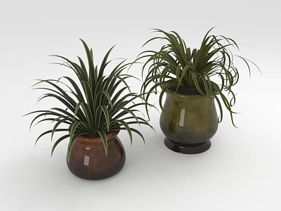 Indoor Houseplants in Green and Brown Ceramic Pots with Long Leaves 3d model