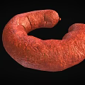 Red Curved Sausage With Sliced End Exposed Meat Texture On Black Background