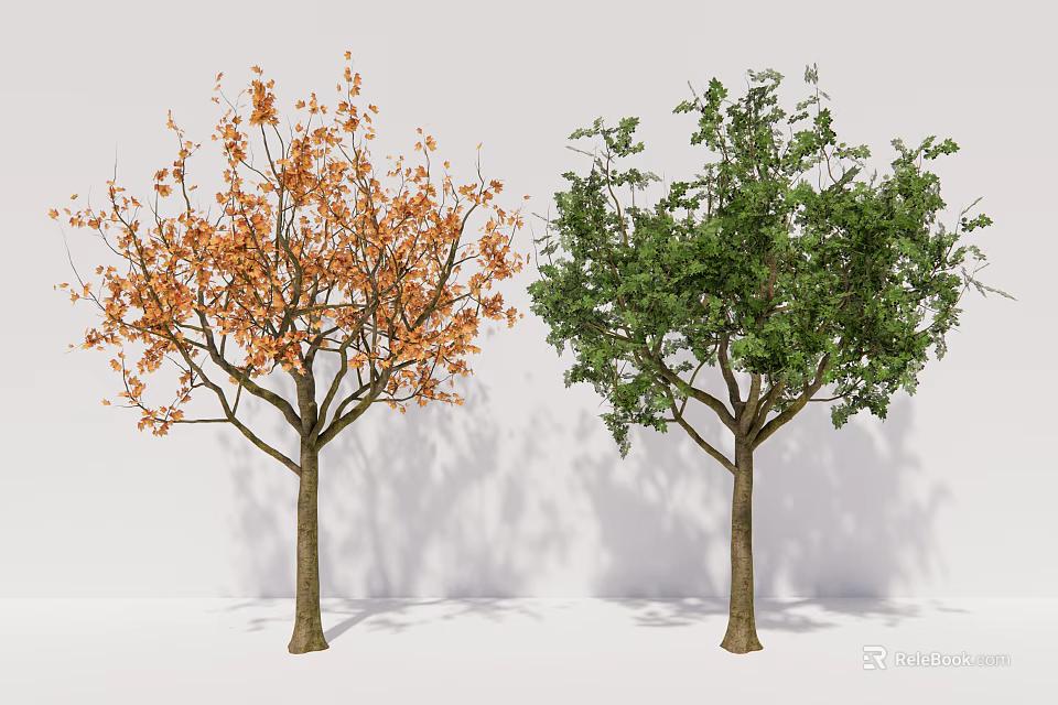 Two Arbor Trees With Orange And Green Foliage Against White Background 3d model
