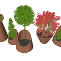Decorative Bonsai Plants In Various Shaped Ceramic Pots With Green And Pink Foliage