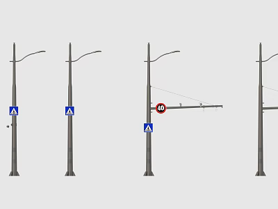Roadside Infrastructure Featuring Street Lamp Posts With Traffic Signs And No Parking Markers 3d model