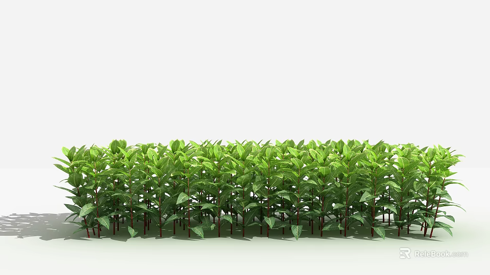 Vibrant Green Shrubs With Dense Foliage Neatly Arranged In Garden Landscape 3d model 