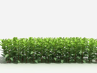 Vibrant Green Shrubs With Dense Foliage Neatly Arranged In Garden Landscape 3d model