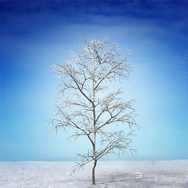 Bare Winter Tree With Snow Covered Branches Against Clear Blue Sky 3d model