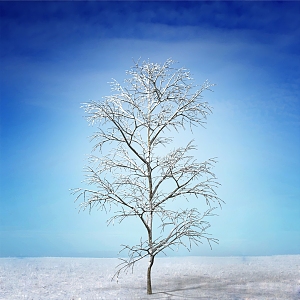 Modern Tree Snowfield Dead Branch Plant 3d model