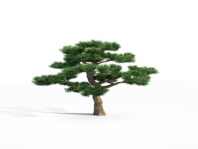 3D Rendered Pine Tree With Brown Trunk And Lush Green Canopy Isolated On White Background 3d model