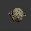 Detailed Animal Skull of Mammal Featuring Sharp Teeth on Dark Background with Reflection
