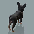 Two Small Black and Tan Dogs Standing with Perky Ears and Friendly Expressions