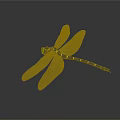 Dragonfly With Green Eyes Black Yellow Striped Body Transparent Wings On Dark Background With Reflection