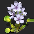 Vibrant Purple Flowering Plant with Lush Green Leaves and Stems