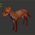 Standing Red Fox with Orange and White Fur 3D Rendered Isolated on Gray Background