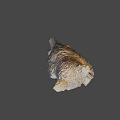 Detailed Decorative Owl Statue Holding Open Book On Book Shaped Base
