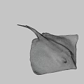 Stingray Swimming In Dark Underwater Environment With Flat Body And Long Tail