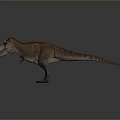 Tyrannosaurus Rex Dinosaur Standing On Gray Background With Open Mouth And Brown Orange Skin