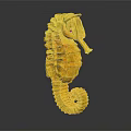 Detailed Yellow Seahorse Sculpture With Intricate Textured Body And Curled Tail