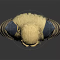 Elven Warrior Character With Golden Long Hair Blue Gold Armor Decorative Shoulders And Forehead Accessory
