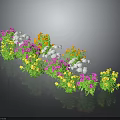 Colorful Garden Flowers with Pink Yellow White Blooms in Wavy Arrangement on Dark Background