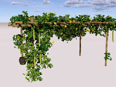 Wooden Pergola Covered With Green Vines And Yellow Flowers In Outdoor Garden 3d model