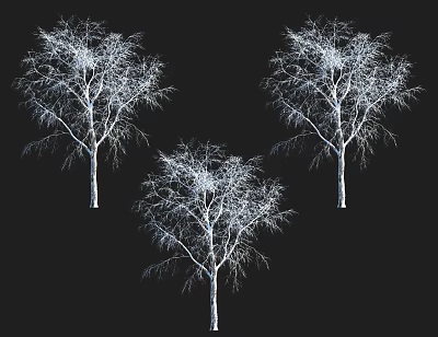 The Modern Tree 3d model The Modern Tree 3d model