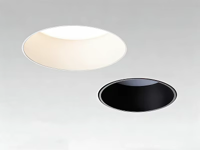 Modern Recessed Downlights White And Black Ceiling Mounted Lighting Fixtures 3d model