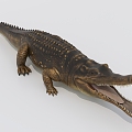 Modern Crocodile Alligator 3d model