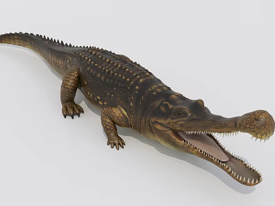 Large Aquatic Reptile Crocodile With Open Mouth And Scaly Skin Features 3d model
