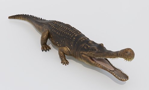 Modern Crocodile Alligator 3d model