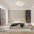 Modern Minimalist Bedroom With Bed Bookshelf And Ceiling Light