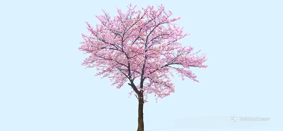 Arbor With Vibrant Pink Blossoms Against Light Blue Sky And Spreading Branches 3d model 