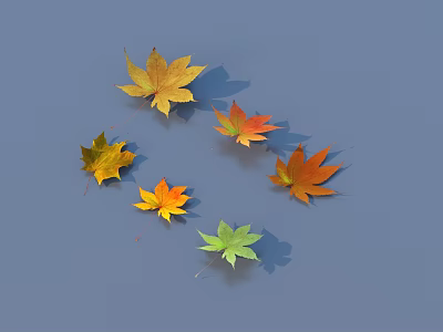 deciduous leaf plant 3d model