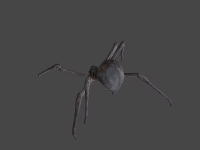 Game and Movie Spider Character 3D Model Design With Gray Background Details 3d model