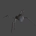 Game and Movie Spider Character 3D Model Design With Gray Background Details