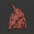 Medical Device 3D Lung Model for Anatomical Visualization in Medical Training 3d model