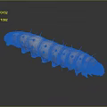 Detailed Pink Caterpillar With Ringed Stripes And Spikes On Elongated Body