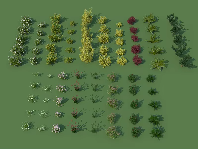 Various Shrubs With Different Colors Shapes And Foliage Displayed On Green Background 3d model