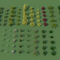 Various Shrubs With Different Colors Shapes And Foliage Displayed On Green Background
