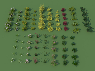 Modern Shrub Plants 3d model