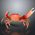 Red Aquatic Crab With Large Open Claws And Shiny Body On Dark Background