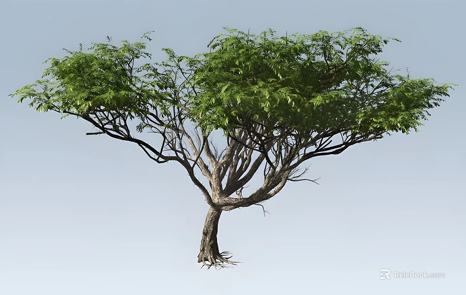 Lush Green Tree With Thick Branches And Strong Trunk Natural Plant 3d model 