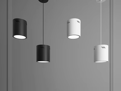 Modern Hanging Downlights and Spotlights in Black and White Contemporary Design 3d model
