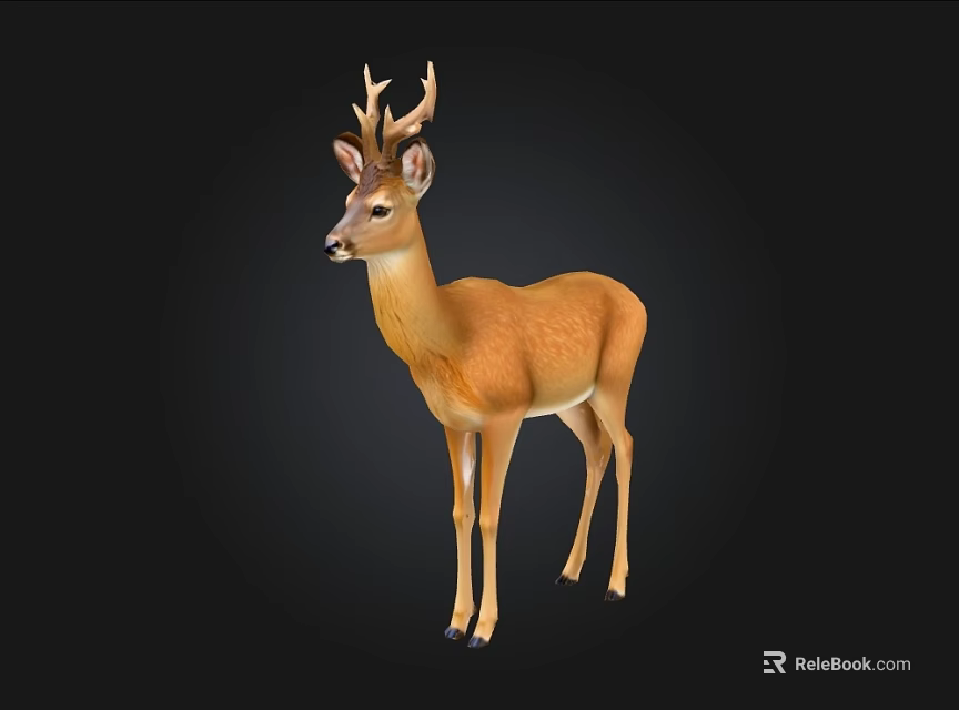 Realistic Brown Deer With Antlers Standing On Black Background Illustration 3d model 
