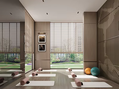 Modern Yoga Studio Interior With Wooden Walls Blinds Yoga Mats Blocks And Balls 3d model