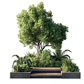 Lush Garden With Large Tree Surrounding Plants Wooden Bench And Flower Beds