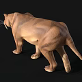 Realistic 3D Model of Saber Toothed Tiger With Detailed Fur And Long Canines