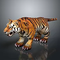Realistic 3D Tiger Model With Orange Black Stripes Open Mouth And Reflection 3d model
