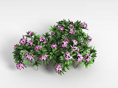Green Bushes With Purple Flowers Near Modern Storage Lockers Design 3d model